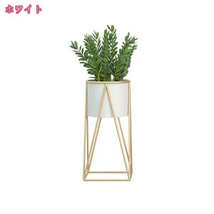 1000~OFFN[| t[X^h ԑ v^[X^h t[  X^h  RpNg Aؔ u ACA  X   ϗt A |bg  u ԕr 