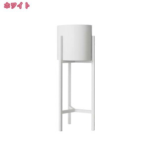 1000~OFFN[| ԑ t[X^h v^[X^h 20cm ACA ubN S[h _ Vv   I  ϗtA I   X t[ bN |