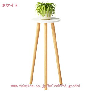 1000~OFFN[| ԑ ؐ ؐԑ Eh CeA G t[X^h v^[X^h   l炵 ϗtA X^h  Ebh  ^  ~