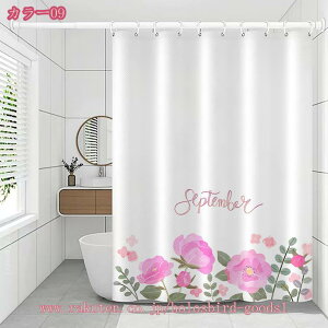 h hJr V[J[e   ډBJ[e Cd؂J[e CeA vCoV[ی ʏ  CKp jbgoX CJ[e Ԏd؂ Ot