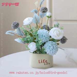 500~OFFN[|  AA  ͂Ȃ o S ^~ x_[ Ԃ̒u fXNgbv̏~ V~[V̉ A̖~ Ƃ̑ [Ybh ̓v