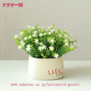 500~OFFN[|  AA  ͂Ȃ o S ^~ x_[ Ԃ̒u fXNgbv̏~ V~[V̉ A̖~ Ƃ̑ [Ybh ̓v