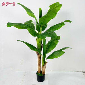 2000~OFFN[| ϗtA tFCN 150cm tFCNO[ lHϗtA  CeA  O tFCNA lH ϗtA sv ͂Ȃ ~͐A  Vv ItBX 