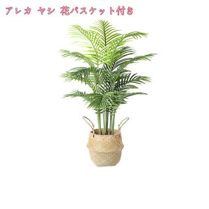 1000~OFFN[| tFCNO[ { 傫 lHϗtA tFCN lHϗA lHϗt Vv A    sv CeA  rO  J