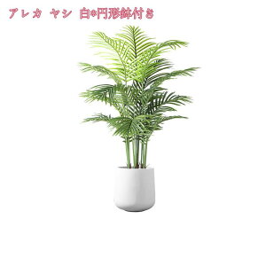 tFCNO[ { 傫 lHϗtA tFCN lHϗA lHϗt Vv A    sv CeA  rO  JXj Vzj 