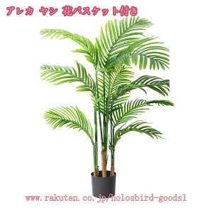 lHϗtA 傫 {  ډB tFCNO[ ^ lHA CeA ϗtA rO c lHA tFCNO[ j v[g Mtg zj V