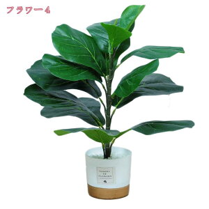 500~OFFN[| lHϗtA tFCNO[ ~j  lHXe V~[V AA tFCNc[  O rO[ ze Q ϗtA lH lHϗt