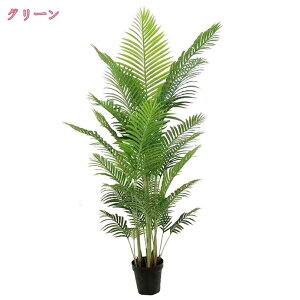 tFCNO[ lHϗtA  sv ͂Ȃ QȂ CeA O[ rO ItBX X  a lHϗtA tFCNO[ Mт̃V̖ 