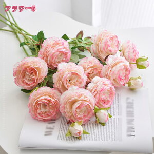 500~OFFN[|  sIj[ A^b` tFCN`[bv tFCN`[bv tFCNt[ Z^[s[X z[EFfBOu[P v[g Mtg 蕨 JXj 