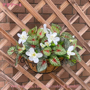 Ǌ|  tFCNO[ lHϗtA ݂艺 ԑ  Ǐ A[gt[ tFCNO[ lHϗtA Ǌ|  hCt[ KN  CeA A sN 