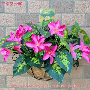 Ǌ|  tFCNO[ lHϗtA ݂艺 ԑ  Ǐ A[gt[ tFCNO[ lHϗtA Ǌ|  hCt[ KN  CeA A sN 