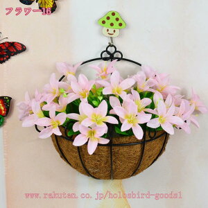 500~OFFN[| Ǌ|  ͂Ȃ 邢F tFCNO[ lHϗtA  rO _CjO CeA t[ EH[O[ v[g Mtg A[eBt