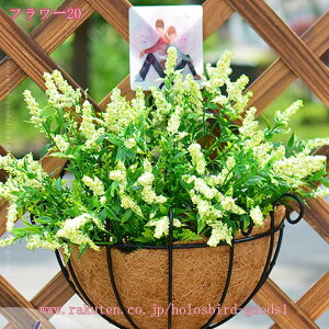 500~OFFN[| Ǌ|  ͂Ȃ 邢F tFCNO[ lHϗtA  rO _CjO CeA t[ EH[O[ v[g Mtg A[eBt