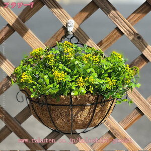 500~OFFN[| Ǌ|  ͂Ȃ 邢F tFCNO[ lHϗtA  rO _CjO CeA t[ EH[O[ v[g Mtg A[eBt