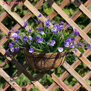 Ǌ|  tFCNO[ lHϗtA ݂艺 ԑ  Ǐ A[gt[ tFCNO[ lHϗtA Ǌ|  hCt[ KN  CeA A sN 