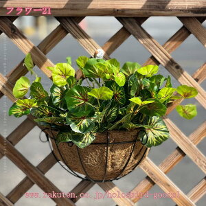 1000~OFFN[| Ǌ|  tFCNO[ lHϗtA ݂艺 ԑ  Ǐ A[gt[ tFCNO[ lHϗtA Ǌ|  hCt[ KN  CeA 