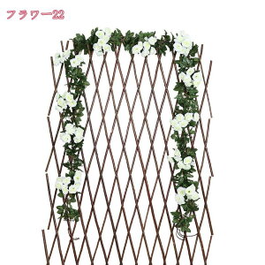 tFCNO[ Ηt ACr[ ݂艺 lHϗtA Ǌ| nMO ACr[ G A[g   CeAG 킢 ₵ i` lHA ACr[ A[g Mt