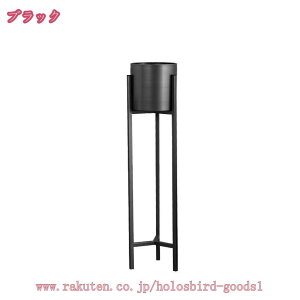 1000~OFFN[| ԑ t[X^h v^[X^h ubN S[h _ Vv K[fjO 킢 IV CeA  AeB[N AX^h  