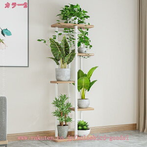 1000~OFFN[| t[X^h ACA ԑ 5i  /O /x_ X  u |bN K[fjObN v^[ |bg K[fbN v^