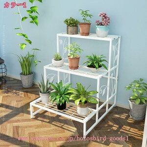 1000~OFFN[| Vvt[X^h 3it[X^h S3iACr[X^h 1 K[fbN |bN t[bN 80Es66E74 ԑ ACA K[fjO 