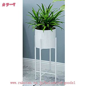 1000~OFFN[| t[X^h X^h ԑ ACA v^[X^h t[bN ϗtA |bg  CeA  fBXvC O[|bgX^h O