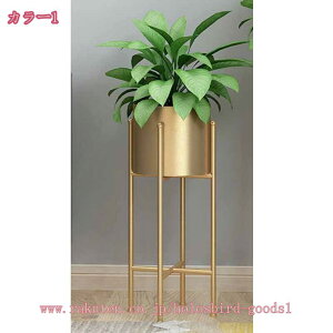 1000~OFFN[| t[X^h X^h ԑ ACA v^[X^h t[bN ϗtA |bg  CeA  fBXvC O[|bgX^h O