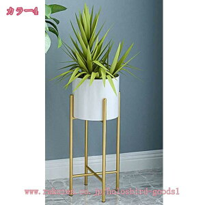 1000~OFFN[| t[X^h X^h ԑ ACA v^[X^h t[bN ϗtA |bg  CeA  fBXvC O[|bgX^h O