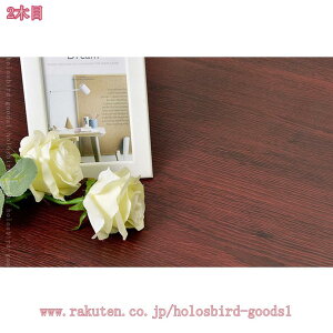 ǎ 10m ǎV[ CNV[g ؖ ̂t ͂ JbeBOV[g SV[g ؖڃV[g h ϔM hJr NX  Lb` e[u ʏ gC  hAƋ holosbird-