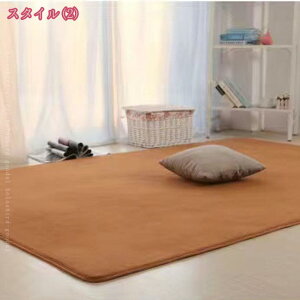 ラグ 洗える おしゃれな北欧風シャギーラグ 床暖房対応 1畳2畳 4畳 コンパクト ラグマット ホットカーペット 冬 こたつ 敷布団 夏用 洗えるラグ 滑り止め付き 抗菌 レクタングル カーペット