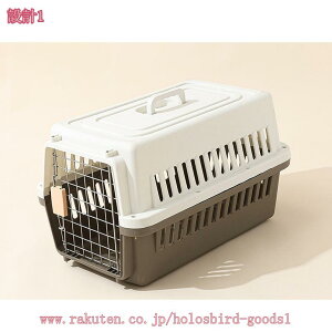 300�~OFF�N�[�|�� �h���C�u�y�b�g�L�����[ �N���[�g ���^���p �A�E�g�h�A �h�� �n�[�h�^�C�v �y�b�g�L�����[ �L �� ������ �L�����[ �����t�� �����p�n�E�X �� �V���� ��s�@�Ή� �����^�� 