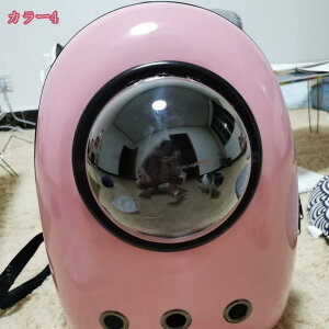 500~OFFN[| ybg L[obO bN L ybgL[obO  ybgobO ybg 킢 obNpbN  h[^  炪 s ȗ o s ʉ@ 