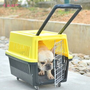 小型犬用 猫 キャリー 犬 キャリー ペットキャリー ゲージ ハードキャリー 取っ手付き 車対策 ドライブペットキャリー キャンピングキャリー クレート 組立簡単 プラスチック製 電車 新幹線