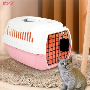 1000~OFFN[| ybgP[W L[  N[g ^ L L[P[X n[hN[g L[obO  p h   VΉ ^ t qA{