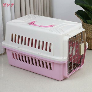 1000~OFFN[| 5 ʋCybgL[obO  ybgL[ t ALbghbOP[W qA{bNX ^ L qL   N[g L[P[X n[