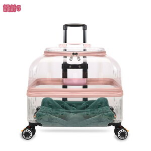 L L[ LX^[t ^  L[ J[g ybgL[P[X LX^[t e oybgobO ʋC  pL[obO Lp s/ʉ@/ʋ@/