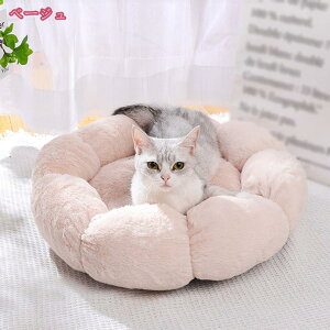 Lp\t@[ ybg xbh \t@ 􂦂 ^ ^  NbV Lxbh xbh H~p   ӂӂ xe 킢 ^p Q ybgNbV ΍ 