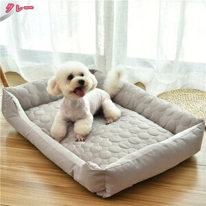 ybgpN[\t@xbh lp L xbh  ΍ ybgxbh tp ėp ی^ \t@   Ck  L lR ˂ t ybgp ې  ~ Q  M 