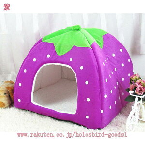 500~OFFN[|  L xbg h[ h[xbh p ybgp   Jh[ Lp ybgxbh h[^ 킢 ybgpi ybg xbh ybgxbh h[^  L J