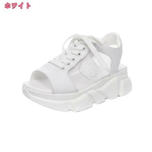 1000~OFFN[| I[vgDT_ EFbWT_  L 3E EFbW\[ fB[XT_ ؂ ₷ [q[ 3e u[cT_ ČC JWAV[Y EH