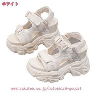 T_ fB[X  V[Y X|[cT_ Xj[J[ }WbNe[v AEghA RtH[g T_ ₷ y Ȃ Xgbv C ʃt@Xi[ ₷ r