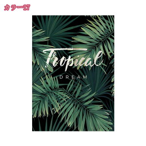 500~OFFN[| ̂ O d؂ ̂ Vv n g  Lb` rO HX o O J[e ̂ ag 䟭 ^yXg[ Ԃ̂ Eߏ 