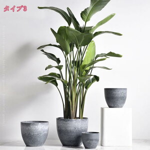 1000~OFFN[| Aؔ vX`bN Ae v ɂ [ e Vv AAؔ _ c|bg t[|bg y ؂ǂ ͋Co vv^