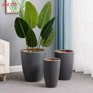 1000~OFFN[| w Aؔ w̍Aؔ  _ x[VbN pv^[ v^[ ϗtA y A؃|bg rł vg|bg  e K[