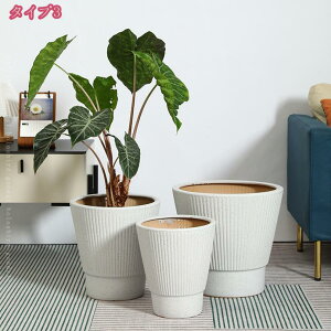 1000~OFFN[| v^[^ rEt Aؔ  Vv v^[ ȃCeA v^[ A |pi v^[|bg KW} pL Aؔ t