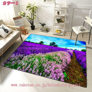 500~OFFN[| O  􂦂 k Ri ԕ 3D J[ybg V t[ \t@[ xbhTCh 킢 [Y [t gΉ h_j _CjOO Z^