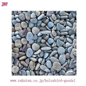 300~OFFN[| ǎ UCN^CV[ Lb` 30*30cm*5 ϔM 3d ^CV[ h  ʏ  C  Lb` ^CV[g CNV[g uE x[W 