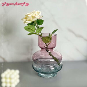 777~OFFN[| т KX ֑} Ԋ _ CeA  NA  rO ͔| O[ 20cm ԕr KXx[X  t[x[X Vv  Ԃт 