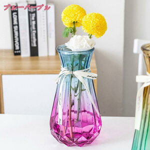 300~OFFN[| ԕr Ԃт NA t[x[X KX{g 23cm Ԋ k _ ̌^ Vv  CeA A[gt[ ԑ  ͔| AW IV z