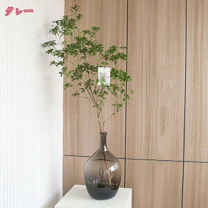 1000~OFFN[| ԕr KX 傫  Ԋ t[x[X KXx[X KX{g  i z[ CeAG ԕr ͔|   k GKg 