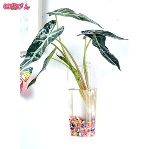 777~OFFN[| t[x[X Ɏq ǂ Ǌ|ԕr 15cm ͔| _CeA  N A KXx[X ԕr ȉԕr  Ԃт Vv Ǌ| ֑} 킢